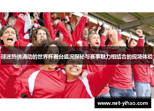 球迷热情涌动的世界杯看台盛况探秘与赛事魅力相结合的现场体验