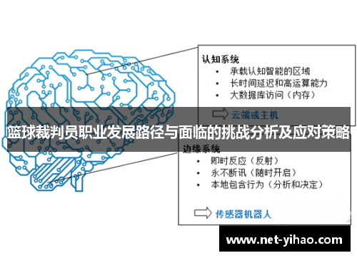 篮球裁判员职业发展路径与面临的挑战分析及应对策略