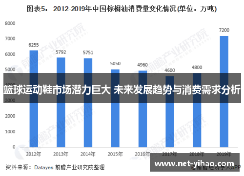 篮球运动鞋市场潜力巨大 未来发展趋势与消费需求分析