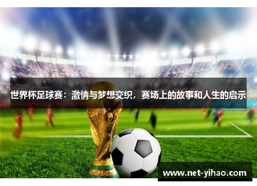 世界杯足球赛：激情与梦想交织，赛场上的故事和人生的启示