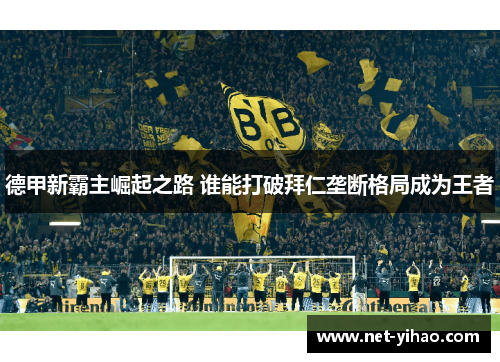 德甲新霸主崛起之路 谁能打破拜仁垄断格局成为王者