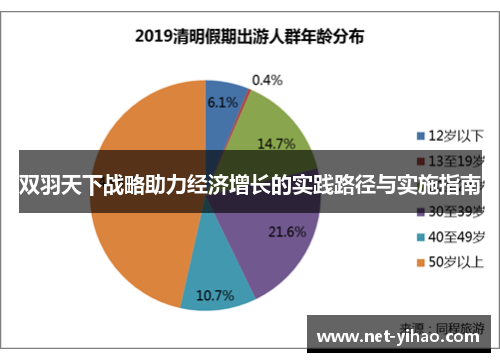 双羽天下战略助力经济增长的实践路径与实施指南