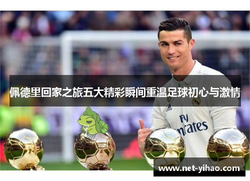 佩德里回家之旅五大精彩瞬间重温足球初心与激情