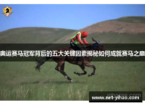奥运赛马冠军背后的五大关键因素揭秘如何成就赛马之巅