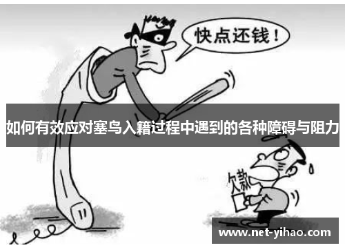 如何有效应对塞鸟入籍过程中遇到的各种障碍与阻力
